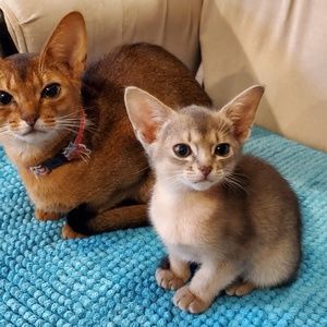 Meet your Posher, Greg